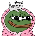 comfy_pepe_cat