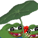 PepeLoveLeaf