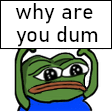 PeepoWhyAreYouDum