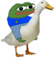 Pepe_goose