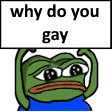 why_do_you_gay
