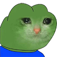 Pepe_Cat_Cry_2