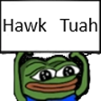 Hawk_Tuah