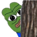 pepepeek