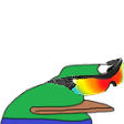 BorpaWICKED