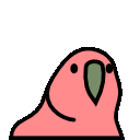 10031-60fps_parrot