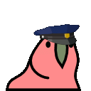 10053-cop_parrot