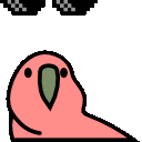 10061-deal_with_it_now_parrot