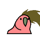 10080-headbanging_parrot